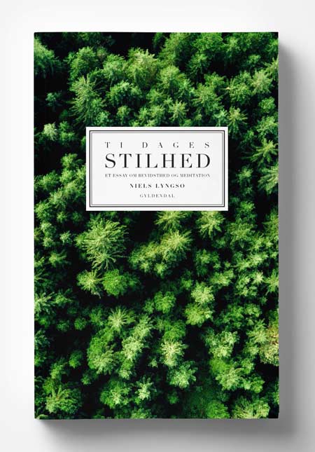 Ti dages stilhed – Book cover (Gyldendal)